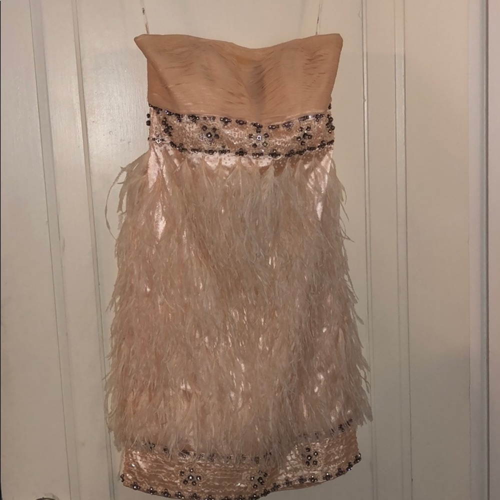 Sue Wong embellished and  feathered dress